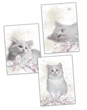 3 plakaty dla dziewczynki CLEO kot kotek ragdoll a4