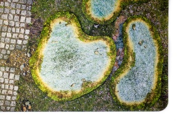 2D УНИВЕРСАЛЬНЫЕ ПЛОЩАДКИ – ПРУД