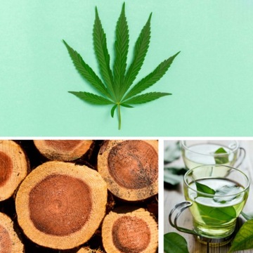 ЖИДКОСТЬ ДЛЯ ВАННЫ I WILL BE OFFLINE ДЕТОКСИКАЦИЯ ВАННА 40 мл DRESDNER ESSENZ