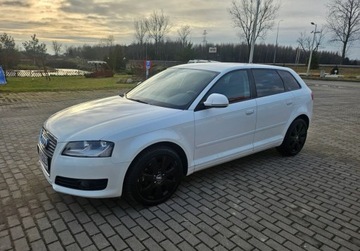 Audi A3 8P Hatchback 3d 1.6 TDI 90KM 2010 Audi A3 5 Drzwi KLIMA 1.6 Diesel 105KM, zdjęcie 3