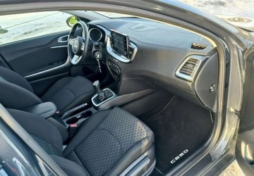 Kia Ceed III Hatchback Facelifting  1.0 T-GDI 100KM 2023 Kia Ceed Kia Ceed Benzyna 100KM, zdjęcie 12