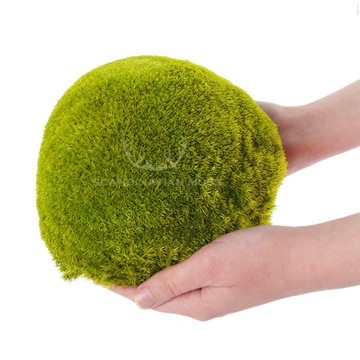 Гигантский мох для подушек 2 шт.