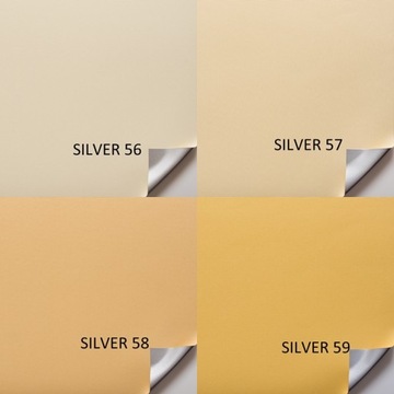 Тепловые жалюзи блэкаут в кассете