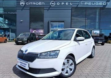 Skoda Fabia III Hatchback Facelifting 1.0 MPI 60KM 2021 Skoda Fabia 1.0 60KM Active Salon PL Serwis ASO FV23 Iwl. Benzyna 60KM, zdjęcie 1