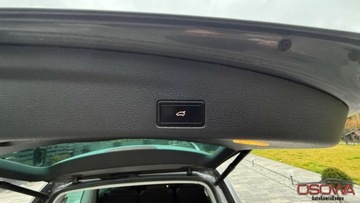 Seat Alhambra II (7N) 2017 Seat Alhambra 2.0tdi 184KM FR-Line 4-Motion 4x4 automat 7.os. Max wersja f, zdjęcie 13