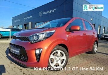 Kia Picanto III Hatchback 5d 1.2 DOHC 84KM 2019 Kia Picanto 206 1.2 GT Line 84 KM 1.2 Benzyna 84KM