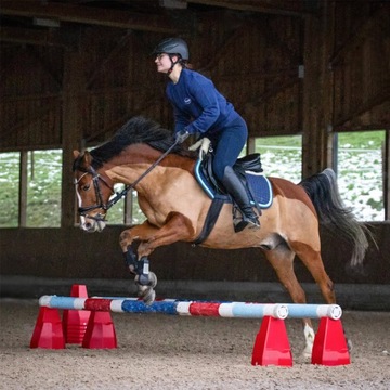 СТОЙКА ДЛЯ ПРЕПЯТСТВИЙ CAVALETTI YORK HORSE Pylonetti 3 уровня