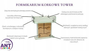 Т-образный формикарий, формикарий TOWER муравьев Messor barbarus