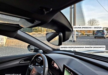 Cupra Formentor Crossover 1.5 TSI 150KM 2022 Cupra Formentor 1.5 TSI 150KM DSG Navi 6xPDC Skora Full led kamera Orygina, zdjęcie 28