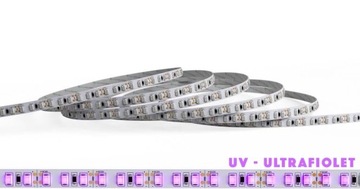 MOCNA Taśma LED 5M 12V 2835 UV ULTRAFIOLET PREMIUM