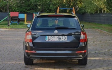 Skoda Octavia III Kombi 2.0 TDI 150KM 2016 Skoda Octavia 1. Rej. 2017, Salon PL, 2.0 TDI 150KM, DSG, Bogate wyposazen, zdjęcie 17