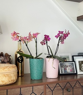 Osłonka Doniczka Ceramiczna Orchid 13x15 cm biała