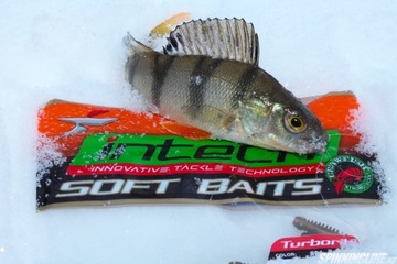 БОТИНКИ УСИЛЕННЫЕ РЕЗИНОВЫЕ - CZEBURASZKA, СМЕЩЕННЫЙ КРЮЧОК - INTECH TURBORIB 7,5 СМ