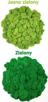 Вазон с мхом хроботек CHROBOTEK MOSS в белом горшке, 3D принт №2