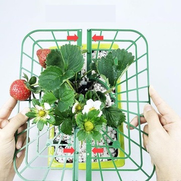 10 подставок для клубники, подставки для клубники