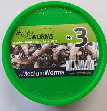 Przynęta żywa dendrobena PICOLO Nr 3 - 25 sztuk