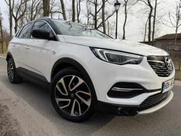 Opel 2019 Opel Grandland X 2.0 CDTI 177 KM Max Opcja Ful Led, zdjęcie 12