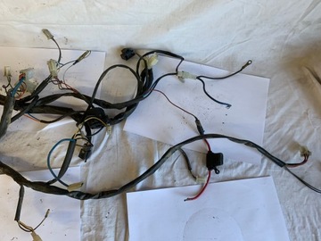 Жгут проводов Malaguti F12