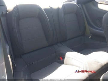 Ford Mustang VI 2024 Ford Mustang 2024 2.3L EcoBoost Fastback 2.3 Benzyna 315KM, zdjęcie 14