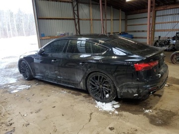 Audi A5 F5 2021 Audi RS5 Coupe 2021 2.9l 2.9 Benzyna 444KM, zdjęcie 1