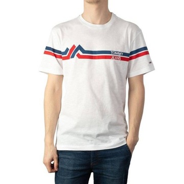 Koszulka męska Tommy Jeans DM0DM08799-YBR