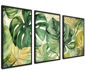 Obrazy Plakaty Botanka Natura Rośliny RAMKI 30x40