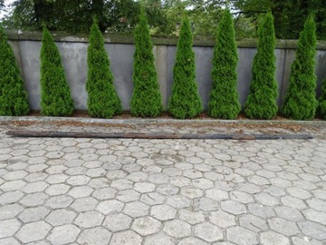 MAN L2000 LE 94-04 RAMA LEWA 743x21CM