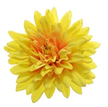 DALIA WYROBOWA GŁÓWKA 15 CM
