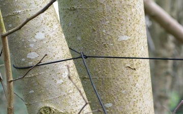 Камуфляжное покрывало Trap Fox Tarp Fox