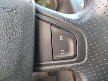 Renault Megane III Coupe Facelifting 2.0 16v 265KM 2013 RENAULT MEGANE III coupe (DZ0/1_) 2.0 R.S. 265 KM, zdjęcie 30