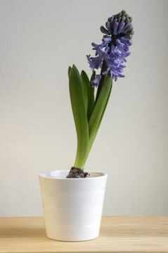 Цветочный горшок с керамической крышкой, БЕЛЫЙ, гладкий, 10 см.