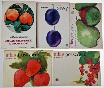 Brzoskwinie i morele Maria Kalicka i inne krzewy i drzewa owocowe 5 szt.