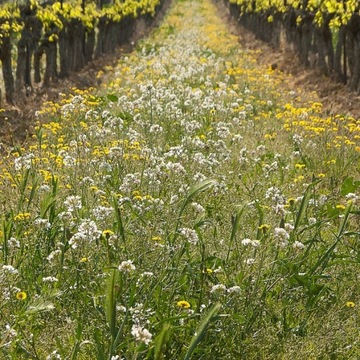 АГРОСАР 360SL 1Л СРЕДСТВО ОТ ВСЕХ СОРНЯКОВ