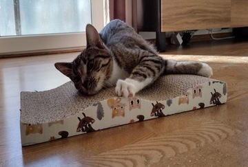 Когтеточка для кошек из картона Catnip WAVE