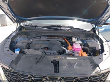 Kia Sorento IV 2025 Kia Sorento 2025 KIA SORENTO HYBRID EX 1.6 Hybryda 177KM, zdjęcie 14