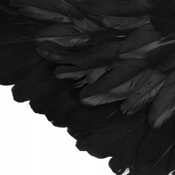 КОСТЮМ НИТЧ КРЫЛЬЯ АНГЕЛА КРЫЛЬЯ 78х37СМ