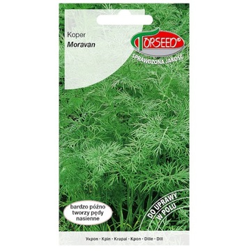 Koper ogrodowy MORAVAN nasiona 5 g Torseed