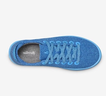 ALLBIRDS Men's Tree Pipers