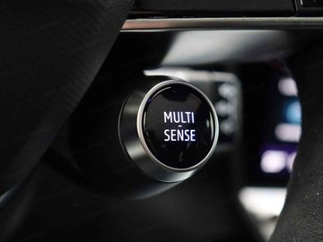 Renault Espace V 2023 Od ręki - Esprit Alpine 1.2 E-Tech 200KM /Pakiet Winter, Harman Kardon, zdjęcie 8