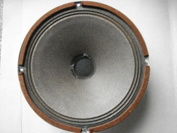 динамик тесла