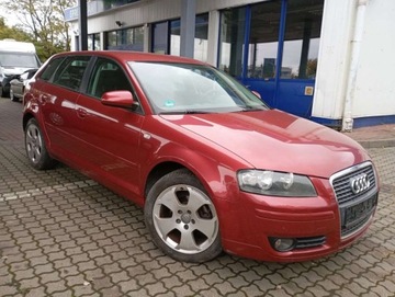 Audi A3 8P Hatchback 3d 1.6 FSI 115KM 2007 Audi A3 Sportback 1.6 benzyna CLIMATRONIC PIEKNY kolor bez rdzy 1.6 115KM, zdjęcie 25