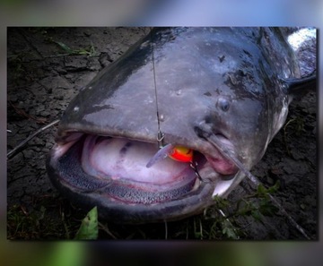 MISTRALL СОМ Плетеная леска X4 / 0,60 мм/300 м