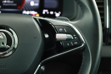 Skoda Karoq Crossover Facelifting 2.0 TDI SCR 150KM 2023 Skoda Karoq 2.0 TDI, Salon Polska, 1. Właściciel, zdjęcie 19