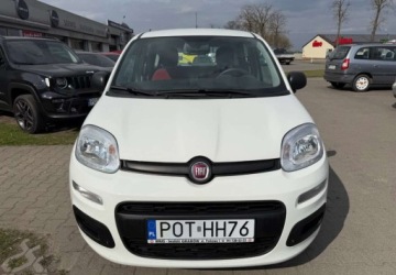 Fiat Panda III Hatchback 5d seria 3 1.2 69KM 2019 Fiat Panda Fiat Panda 1.2 StartampStop Pop 1.2 Benzyna 69KM, zdjęcie 1