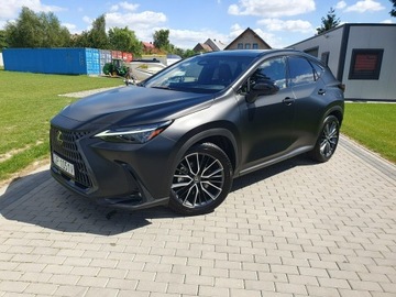 Lexus NX II SUV Facelifting 2.5 450h+ 309KM 2024 Lexus NX 450h+ 309KM Omotenshi Mod,2025 Salon, zdjęcie 32