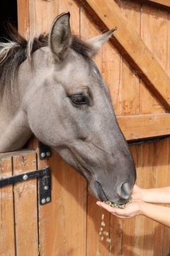 Травяные шарики из озерного края, набор 2х15 кг, общий вес: 30 кг.
