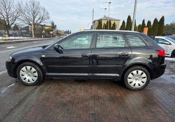Audi A3 8P Hatchback 3d 2.0 TDI PD 140KM 2005 Audi A3 Sportback 2.0DieselQUATTROZarejestrowana w Polscekomplet alufelg, zdjęcie 7