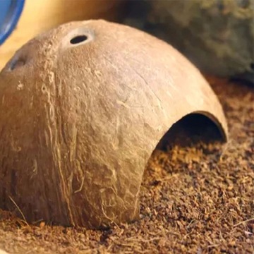 ЧЕХОЛ ДЛЯ УКРАШЕНИЯ ТЕРРАРИУМА ПОЛОВИНКА КОКОСА, ГЛАДКИЙ