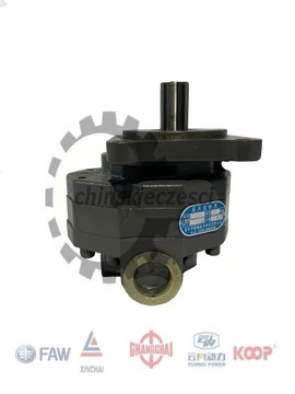 Pompa hydrauliczna 25L APS Everun ZL KMM Kingway