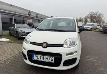 Fiat Panda III Hatchback 5d seria 3 1.2 69KM 2019 Fiat Panda Fiat Panda 1.2 StartampStop Pop 1.2 Benzyna 69KM, zdjęcie 1